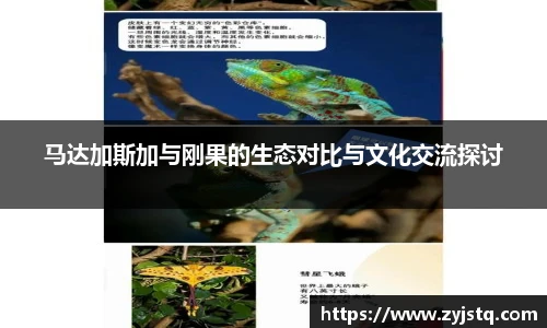 马达加斯加与刚果的生态对比与文化交流探讨